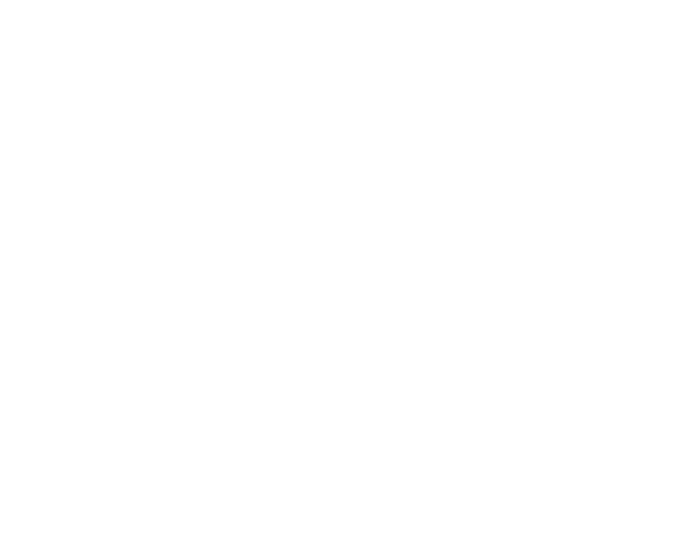 Figgjo Logo_White